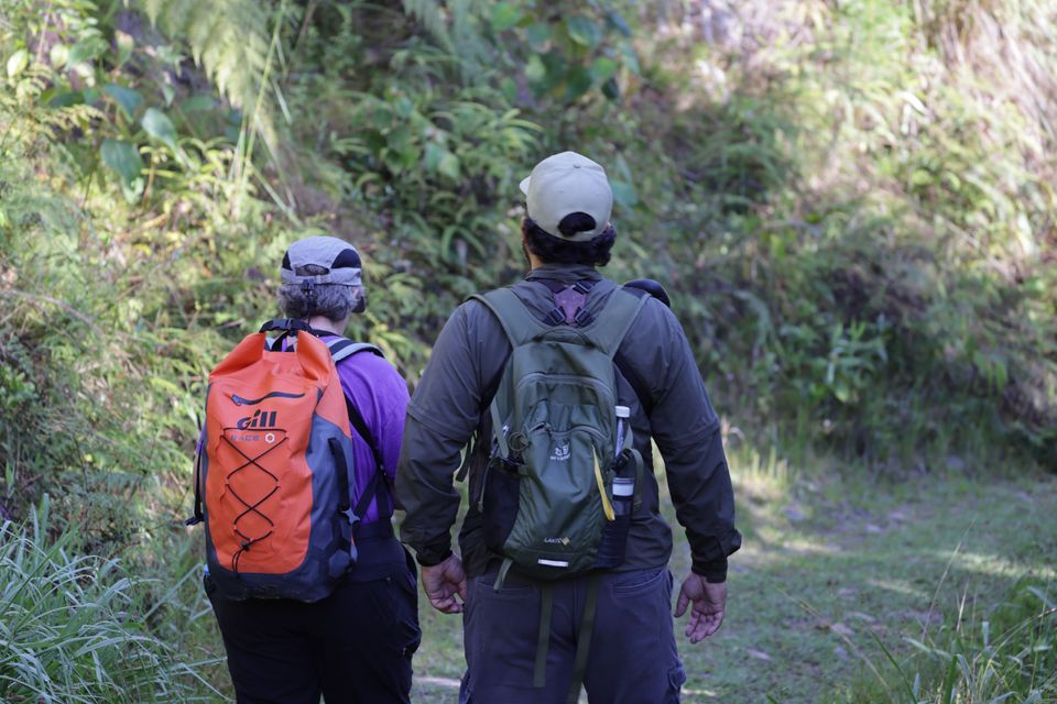 Bird watching in the Dominican Republic